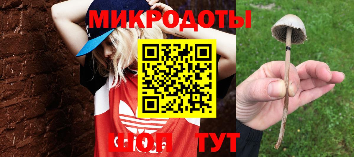 Галлюциногенные грибы мицелий Изобильный